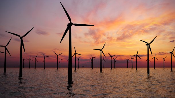 Offshore-Windenergie soll ausgebaut werden - Umweltschützer uneins