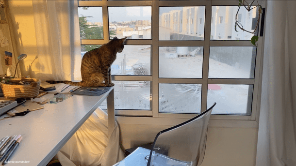 Die Wohnungen anderer Leute – mit WindowSwap aus fremden Fenstern schauen