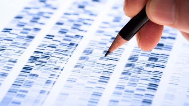 Gendatenbank: Über eine Millionen DNA-Profile von GEDmatch enthüllt