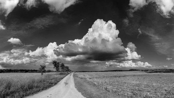 Die Cloud von Thomas Bartel