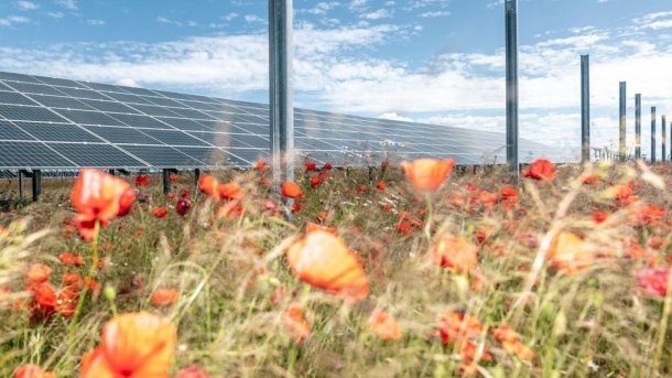 Solarparks ohne Subventionen - ein Lichtblick in der Energiewende