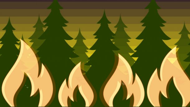 Statistik der Woche: Wie Brände immer mehr Wald zerstören