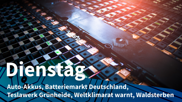 Elektroauto-Akku, dazu Text: DIENSTAG Auto-Akkus, Batteriemarkt Deutschland, Teslawerk Grünheide, Weltklimarat warnt, Waldsterben