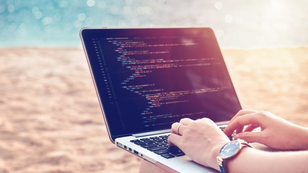 Schlange, Python, Paradies