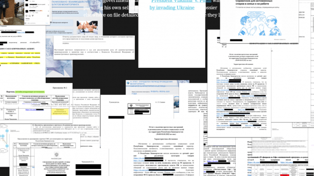 Screenshot vieler Dokumente, teilweise geschwärzt