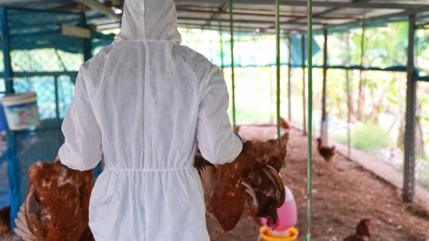 Tierarzt mit an Vogelgrippe verendeten Tieren