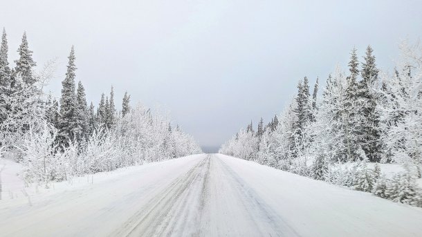 schneebedeckte Straße, links und rechts schneebedeckte Bäume