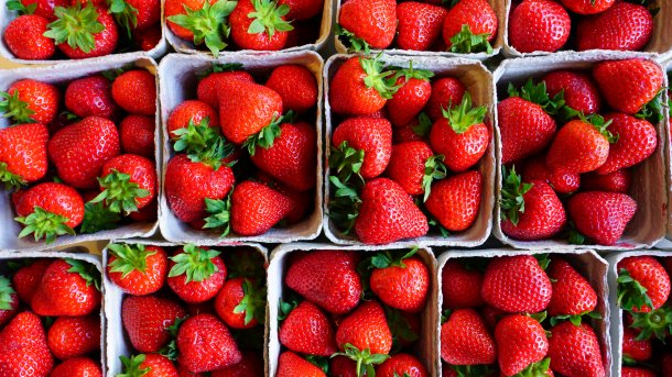 Mehrere Körbchen mit frischen Erdbeeren