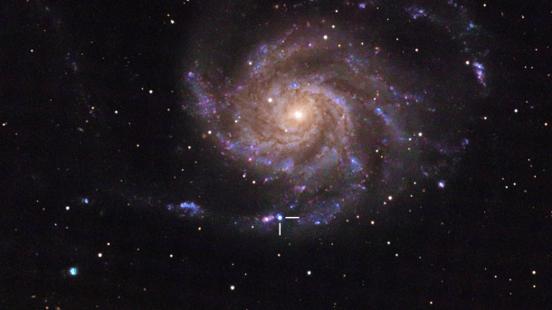 Die Feuerrad-Galaxie mit einem neuen Lichtpunkt