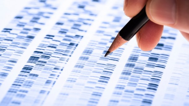 DNA-Marker auf von unten beleuchteter Folie; eine Hand zeigt mit einem Bleistift auf eine Markierung