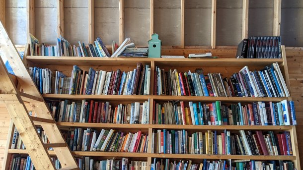 Regal mit vielen Büchern und einem kleinen Vogelhaus auf dem obersten Regalbrett