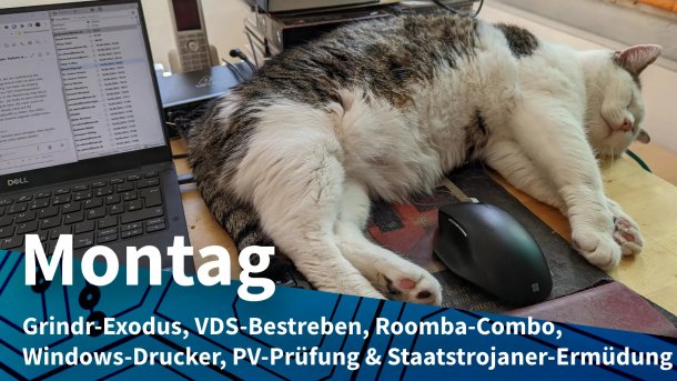 Katze liegt auf Schreibtisch neben Laptop und Maus; Montag: Grindr-Exodus, VDS-Bestreben, Roomba-Combo, Windows-Drucker, PV-Prüfung & Staatstrojaner-Ermüdung