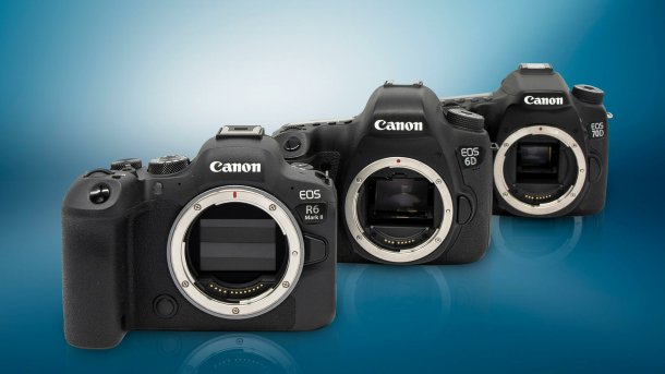 Ungleiches Duell? Die aktuelle Canon EOS R6 Mark II muss sich gegen die zehn Jahre älteren Canon EOS 6D und EOS 70D beweisen., Alle Bilder: Katja Seidel