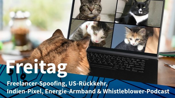 Katze bei der Videokonferenz mit Katzen am Laptop; Freitag: Freelancer-Spoofing, US-Rückkehr, Indien-Pixel, Energie-Armband & Whistleblower-Podcast