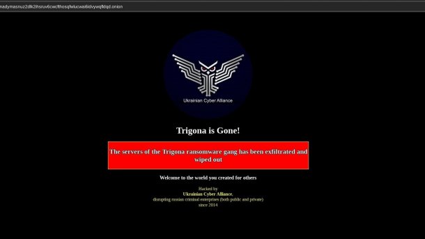 Trigona-Website