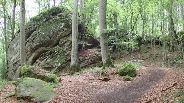 Ein Waldweg, der an einem Felsen vorbeiführt