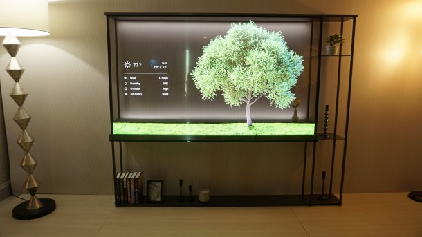 Regal mit eingebautem, transparentem Bildschirm, der einen Baum sowie Wetterdaten zeigt