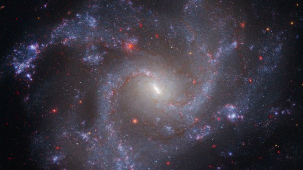 Spiralgalaxie