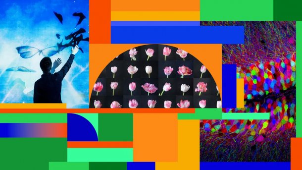 Collage mit Blumen zum Thema Künstliche Intelligenz