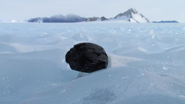 Schwarzer Steinbrocken auf ewigem Eis