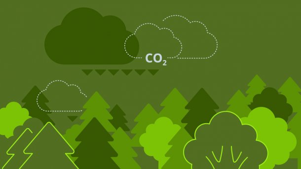 Grafik mit Baumkronen, darüber Wolken mit der Beschriftung CO2