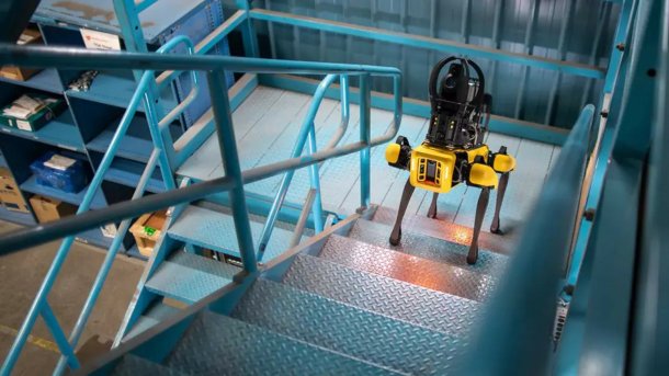 Roboterhund Spot erklimmt Treppen.