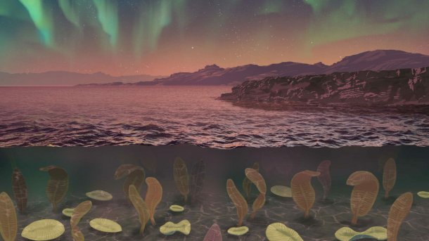 Urzeitlicher Ozean mit fremdartigen Lebewesen im Wasser und starken Nordlichtern