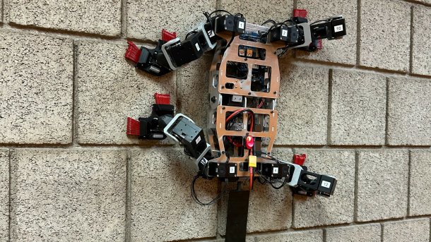 Der Loris-Roboter an einer senkrechten Wand.
