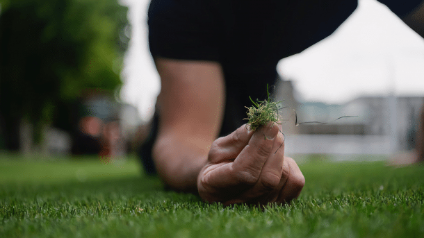 Artificial turf in front of the Brandenburg Gate