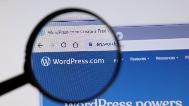 Magnifying glass on the Wordpress.com website