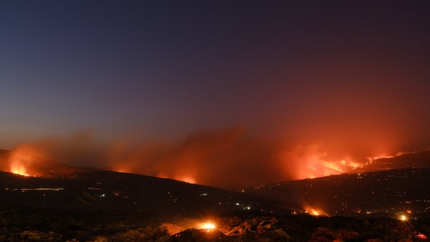 Forest fire in Sicily