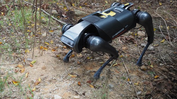 A Cyberdog from Xiaomi detecting fire ant nests.