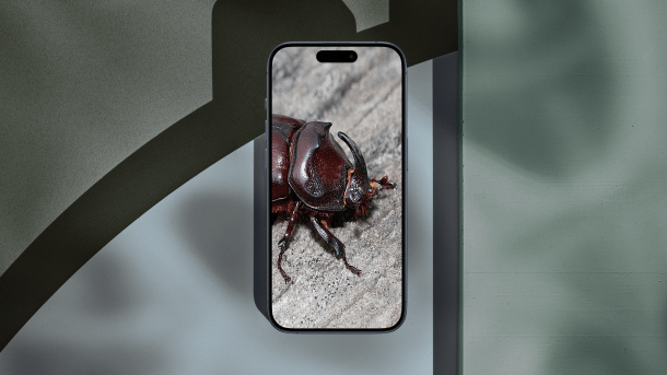 Ein Bug im iPhone (Symbolbild)