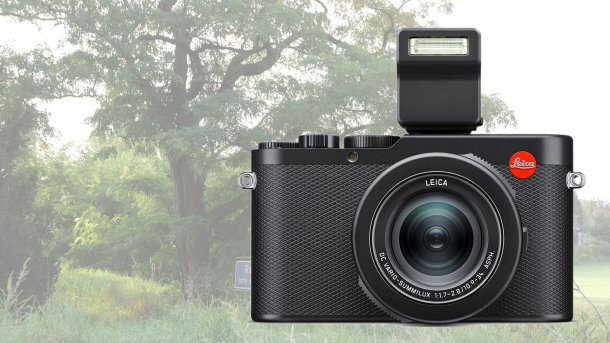 Die Leica D-Lux 8 ist eine handliche kleine Kompaktkamera. Geliefert wird sie mit einem kleinen Aufsteckblitz.