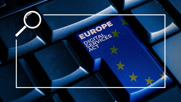 Blue return button with yellow stars and the inscription DSA