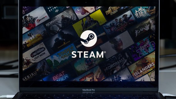 Steam läuft auf Laptop