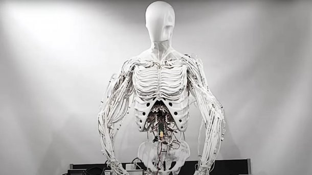 Biomimetic robot torso from Clone Robotics.