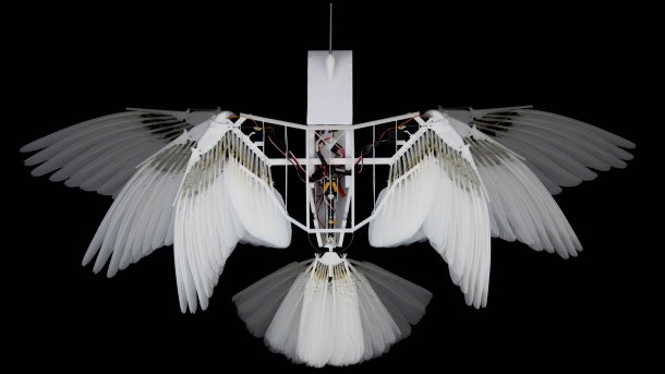 Robot bird with wing and tail adjustment options
