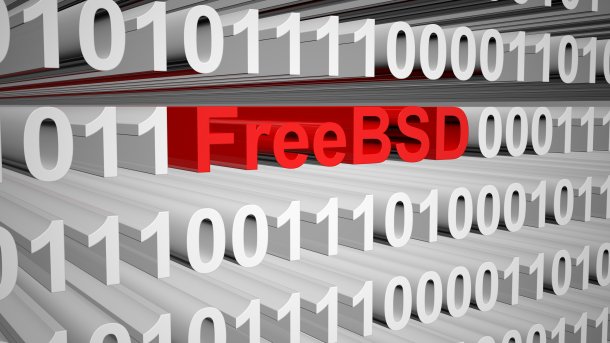 FReeBSD eingebettet in viele Nullen und Einsen