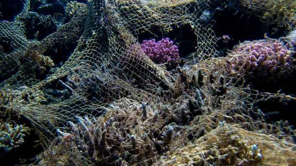 Ghost net on a coral reef