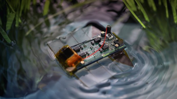 Schwimmroboter in einem simuliertem Reisfeld