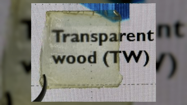 Schild auf dem steht: Transparent wood