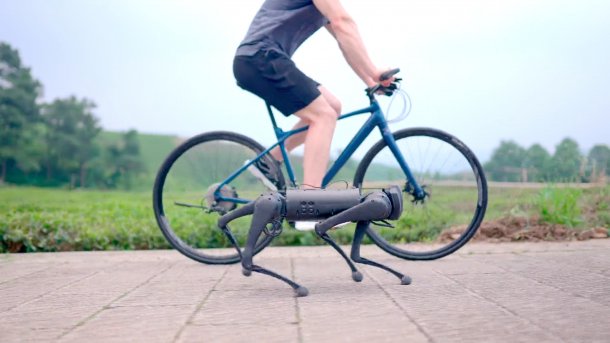 Unitree Go1 runs next to a bicycle