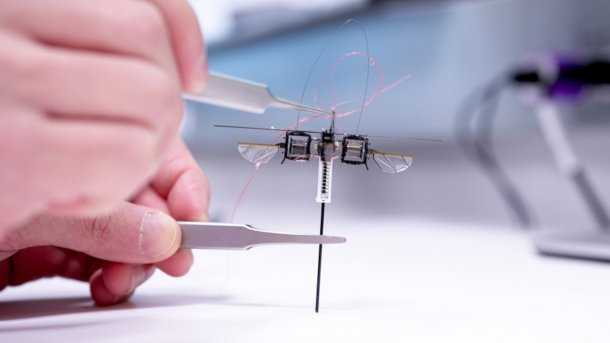 One hand holds a one-legged hopping robot with tweezers.