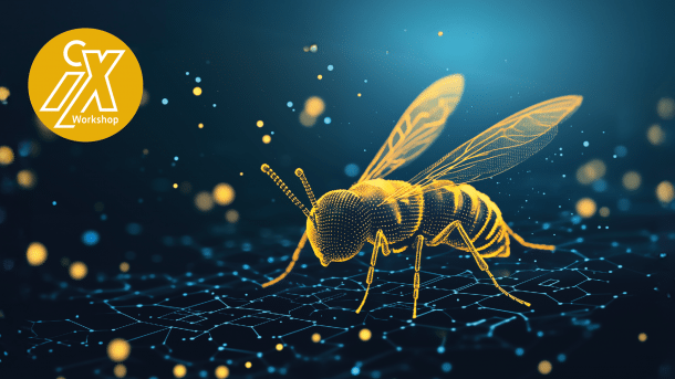 Online-Workshop: OWASP Top 10 – Sicherheitslücken in Webanwendungen vermeiden