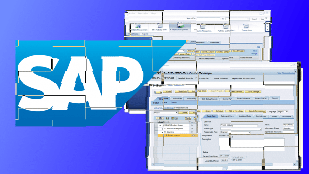 Dismembered SAP logo, behind it dismembered SAP Netweaver GUI
