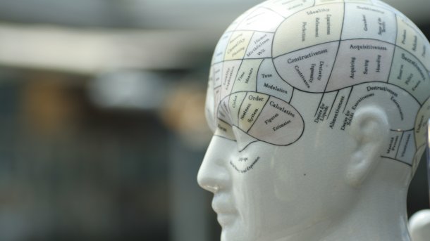 Kopfmodell mit Phrenologie-Aufdruck