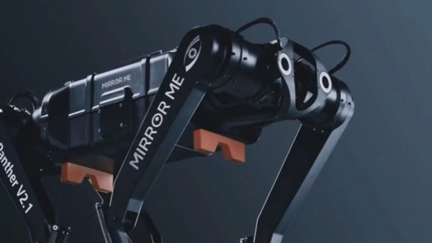 Roboterhund Black Panther 2.1 vor grauem Hintergrund.