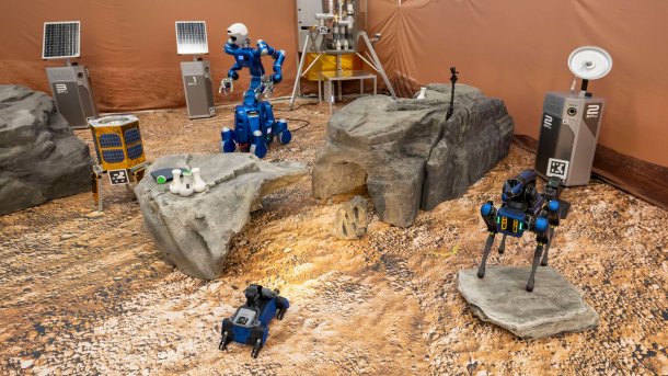 Robots as avatars in a simulated Martian environment
