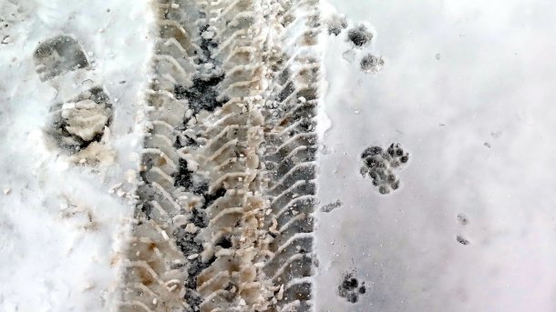 Reifenspur in Schnee